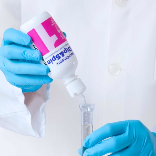 Dip&Spin Action_pick_crop